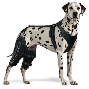 Dog Knee Brace for ACL, CCL, Arthritis, Joint Pain – Hinged Leg Support for Torn Ligament, Luxating Patella, Rear & Hind Legs – Orthopedic Compression & Mobility Recovery Wrap (Both Legs Medium)