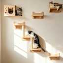Cat Wall Shelves for Large Cats, 9PCS Solid Pine Cat Wall Furniture Set with House, Ladder Steps & Sisal Scratching Posts, Sturdy Mounted Climbing Shelves for Indoor Cats