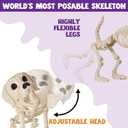 JOYIN Halloween Golden Retriever Skeleton 34” Animal Dog Plastic Skeleton with Movable Posable Joints for Haunted Houses Halloween Decorations, Graveyard Scenes, Outdoor Indoor Garden Party Decor