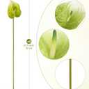 8PCS 21.7inch Anthurium Artificial Flowers Green Faux Silk Anthurium Real Touch Flower Faux Floral Arrangement for Vase Table Centerpieces Wedding Garden Home Decoration (Green)