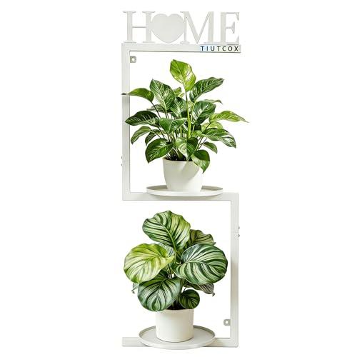 TIUTCOX Wall Plant Holder Metal, Plant Frames Wall Decor, Wall Plant Stands for Indoor&Outdoor with Letters HOME Decor, 2 Round Flower Pot Trays, 12*7.87*34.33 Inch, Black