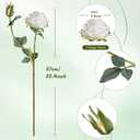 XONOR Artificial Rose Flowers, White, 10Pcs