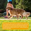 Martingale Collar for Dogs,Reflective Martingale Dog Collars with Quick Release Buckle,Adjustable Nylon No Pull Dog Collar for Walking Training (Red, Extra Large) (Medium)