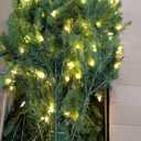 National Tree Company 9 ft Pre-Lit Dunhill Fir Artificial Christmas Tree, 900 LED Lights, 4,026 Tips, Foot Pedal, 10 Light Functions, Includes Stand, Green