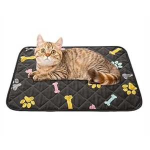 SPXTEX Dog Crate Pads Dog Pee Pads Rugs Washable Dog Pads, Non Slip Puppy Pee Pads for Small Dogs, Waterproof Pet Pad Rug, Dog Whelping Training Pads for Dogs, 2 Piece, 20"x30" Black