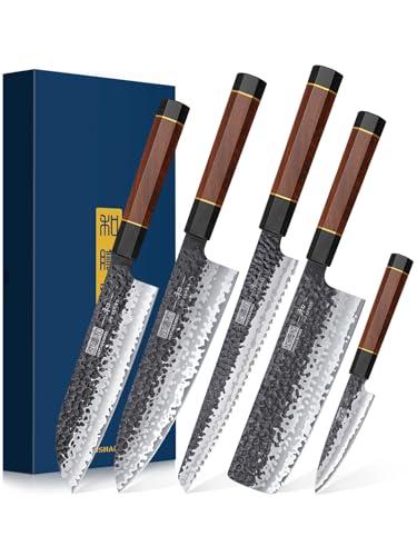 HOSHANHO 5 Pieces Knife Set, Japanese High Carbon Steel Kitchen Knife Sets, Professional Ultra Sharp Chef Knives Set with Ergonomic Rosewood Handle
