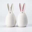 Ceramic White Rabbits Easter Bunny Rabbits Bunny Decoration Couple Rabbit Ornament, Porcelain Modern Art Home Decoration, Weddings Celebration Crafts Gift, Set of 2, Easter Decor