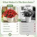 Alupssuc 8 Large Bundles Artificial Flowers for Outdoors Spring Decoration, UV Resistant Faux Flowers Silk Camellia Realistic Fake Flowers for Yard Patio Planter Porch Balcony Garden, Red