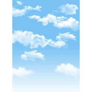 AOFOTO 3x5ft Blue Sky Backdrops White Clouds Photo Shoot Background Photography Studio Props Digital Video Drop Baby Infant Kid Newborn Toddler Artistic Portrait