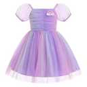 Toddler Girls Birthday Party Dress Sparkly Mesh Embroidery Tutu Dress Cake Crush Formal Dresses Purple 18-24 Months