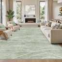 WITSHOCK 10x13 Area Rug, Washable Rugs for Living Room, Modern Rugs for Bedroom Dining Room Nursery Office, Large Rug Thin Carpet Non Slip Stain Resistant Soft Carpets for Home Decor, Green