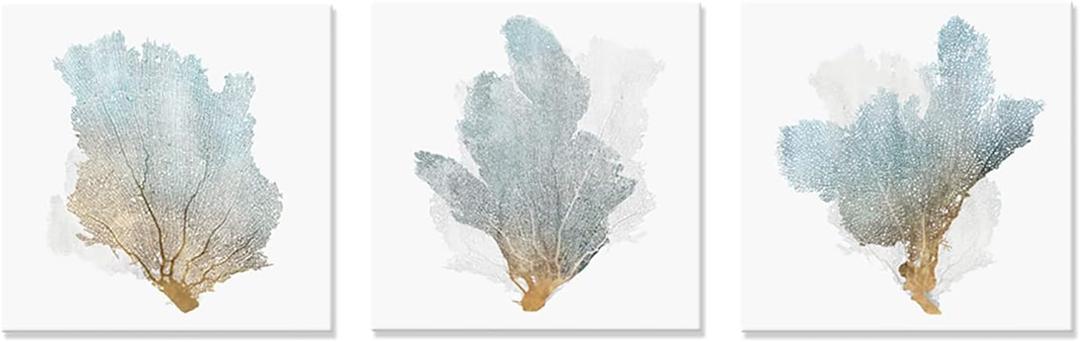 JAPO ART Delicate Coral Wall Decor for Bedroom Coastal Wall Art Home Decor Framed Sea Fan Pictures Nautical Prints Artwork for Bathroom Bedroom 16"x16"x3pcs