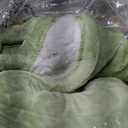 Bedsure Electric Blanket Queen Size - Dual Control Heated Blanket Queen, GentleSoft Fast Heating with 10 Time Settings & 10 Heat Settings, Warm Gift for Grandma (84x90 inches, Sage Green)