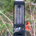 Nature's Way Bird Products Squirrel Shield Metal Squirrel Proof Advantage Cage Feeder 3.2 qt
