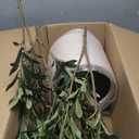 Artificial Olive Tree 6FT Tall, Faux Plants Indoor - Fake Plant with Lifelike Leaves,White Planter - Large Fake Olive Trees for Home Living Room Office Bedroom Floor Decor