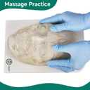Transparent Injection Face Model with Blood Vessels, Anatomical Injection Mannequin Face, Facial Injection Training Model for Estheticians, Medical Students, Detachble Face Skin