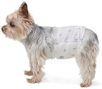 Amazon Basics Super Absorbent Male Dog Diapers, Leak-Proof Disposable Wrap with Wetness Indicator, Secure Fit, Breathable, X-Small, 30 Count, Set of 2