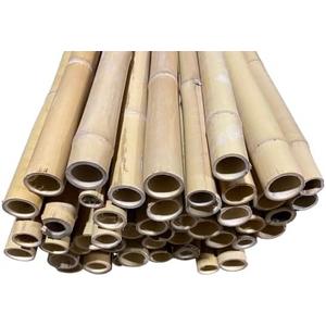 6 Feet Long Natural Thick Bamboo Poles - 1.5in - 2in Wide - Pack of 2 (Beige)