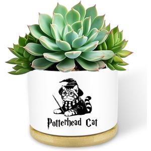 Funny Magical Cat Ceramic Succulent Cactus Flower Plant Pots with Bamboo Tray, 3.5 Inches Window Garden Cute Cat Planter Pot for Home Desk Decor Planter (No Plants)