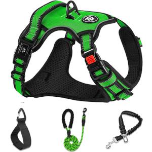 NESTROAD No Pull Dog Harness,Adjustable Oxford Dog Vest Harness with Leash,Reflective No-Choke Pet Harness with Easy Control Soft Handle for Small Dogs(Small,FluorescentGreen) (Sneck 11-15" chest 15-21")