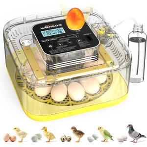 Incubator for Hatching Eggs, 12 Eggs Incubator with Automatic Egg Turning, Temperature & Humidity Control, LED Egg Candler, Incubation Days Display, for Chicken, Duck, Quail, Parrot Bird Eggs (Yellow)