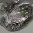 Vickerman FK180124 FK180124 Green Maytime Wreath, Size: 24"