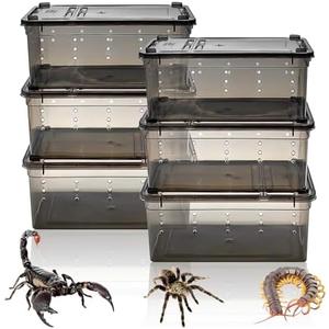 VCEPJH 6 Pcs Jumping Spider Enclosure, 7.48 X 4.92 X 2.95in Insect Cage Transparent Tarantula Spiderling Terrarium Plastic Hatching Container Breeding Box for Small Reptile Scorpion Centipede, Black