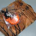 Rubies Original T-Rex Inflatable Costume with Sound for Adults, One Size