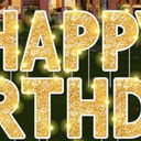 Happy Birthday Yard Sign - 14 Pcs Personalized Age Happy Birthday Sign, 16 Inches Waterproof Birthday Yard Lawn Party Decoration (Gold)