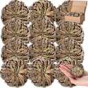 Nuanchu 12 Pack Rose of Jericho Resurrection Plant Dried Jericho Rose Selaginella Resurrection Grass Natural Fern Prayer Plant for Spiritual Purification Home Decor(Large Size)