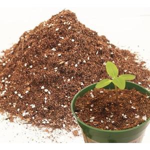 3QT Potting Soil Mix for Indoor Plants - Contains Perlite, Peat Moss, Coco Coir & Rice Charcoal, Natural & Organic Material with Well-Draining, Light & Aerated Texture for Healthy Roots & Fast Growth
