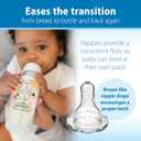 Dr. Brown's Natural Flow Anti-Colic Options+ Narrow Baby Bottle, Bear and Owl, 8 oz/250 mL, with Level 1 Slow Flow Nipple, BPA Free, 0m+, 2-Pack