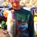 2 x REAL FISH 6.5" The Intruder Multi Jointed Swimbait Bass Fishing Lure Bait Hard Slow Fast Sinking Life Like Gizzard Shad Minnow Bluegill Floating Slow Sinking (1) (BLUEBACK HERRING)