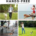 Hands-Free Dog Leash  Adjustable No-Pull Bungee Waist Leash with Car Seatbelt, Perfect for Walking, Jogging, Hiking & Training  Fits Small, Medium, and Large Dogs (Gradient Grey)