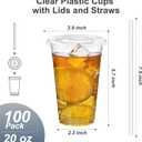 Dealusy 100 Pack - 20 oz Clear Plastic Cups with Lids and Straws, Sturdy & Food Safe Iced Coffee Cups with lids, Disposable Plastic Smoothie Cups for Cold Drinks
