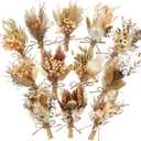 Layhit 12 Pcs Boho Dried Flower Bouquet Mini Wedding Handmade Dry Flowers Decor for Vase Crafts DIY Photo Boutonniere for Men Floral Plant for Bridesmaid Gift Birthday Decor(Rustic)