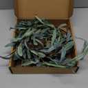 LITBLOOM Lighted Olive Garland Battery Operated with Timer 96 Fairy Lights 6FT, Artificial Greenery Twig Vine Lights for Christmas Spring Fireplace Mantle Decoration Indoor Outdoor