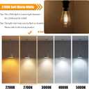 8 Pack 2700K Soft White LED Edison Bulbs 40W Equivalent, Clear ST19/ST58 Vintage 4W LED Light Bulbs for Ceiling Lights, 90 CRI, 450LM, E26 Base, Non-Dimmable
