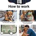 WhoseID Dog Collar with Waterproof AirTag Holder & Anti-Lost QR Code, Cute Bling Warpping Adjustable Width for Small Medium Large Pet (Blue, S)