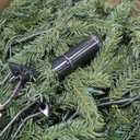 National Tree Company 6.5 ft Pre-Lit Jersey Fraser Fir Artificial Christmas Tree, 800 Clear Lights, 2,224 Tips, Includes Stand, Green
