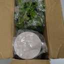 Coferset 2 Pack Small Fake Plants Eucalyptus Potted Artificial Plants for Shelf Desk Home Bathroom Farmhouse Room Coffee Table Decor (Sage Green)