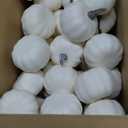 Tigeen 100 Pcs Artificial Pumpkins 1.8 x 2.2 Inch Mini Fake Pumpkin White Rustic Pumpkin Decor Foam Pumpkins DIY Craft for Wedding Thanksgiving Fall Harvest Halloween Centerpieces Tabletop Decoration