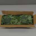 Artificial Hanging Plant, 2Pcs Faux Potato Greenery Vines Garland Hanging Plants Fake Ivy Plant Vine for Home Decor Indoor Outdoor Wall Living Office Wedding Party Garden Decorations