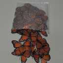 Chuangdi Monarch Butterfly Decoration 3 Size Fake Butterflies Realistic Butterfly Crafts Artificial Wall Decor for Craft Home Wedding Classroom Birthday Party Decorations(Orange,48 Pack)
