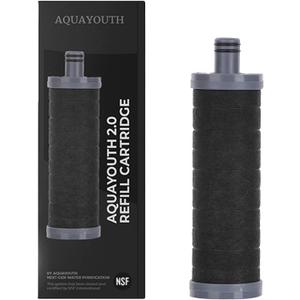 2.0 Carbon Shower Head Filter | Removes Chlorine, Heavy Metals, And More | Great For Dry Skin, Dry Hair, And More | NSF Certified (2.0 Carbon Refill Cartridge)