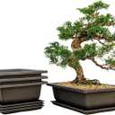 Bonsai Outlet Training Pots with Humidity Trays - Built in Mesh, Brown 8-Inch Large Planters + Made from Durable Shatter Proof Poly-Resin, Set of 3 Pot Set