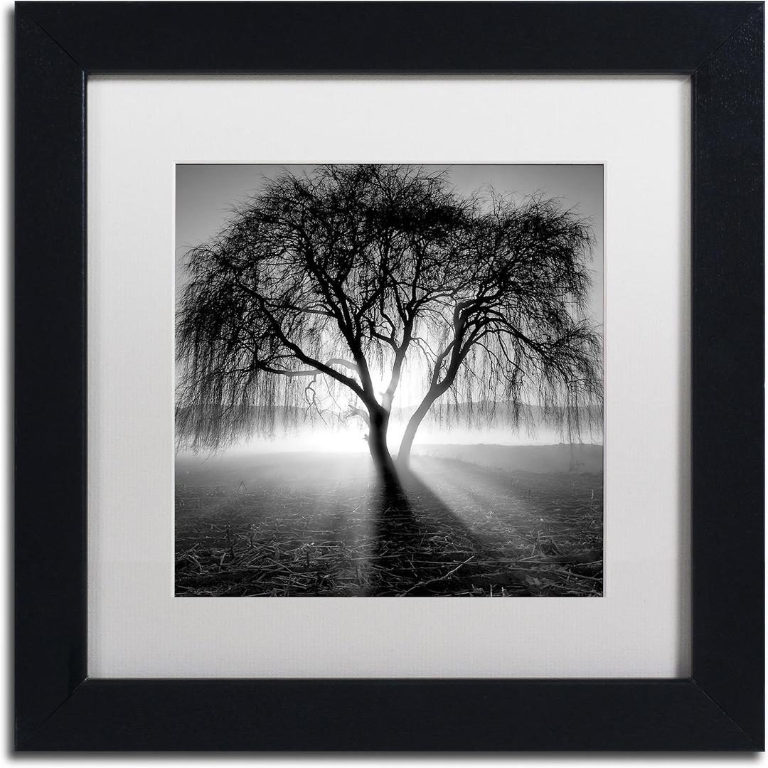 Framed Wall Art - Moises Levy 'Lightning Tree I' Wall Decor with Matted Frame by Trademark Fine Art, 11"L x 11"W