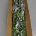 Waipfaru 4Pcs Fake Hanging Plants 2.7ft Fake Plants Eucalyptus Leaves UV Resistant Fake Vines Ivy Artificial Plants Outdoor Faux Plants Indoor Bedroom Living Room Boho Wall Porch Shelf Decor