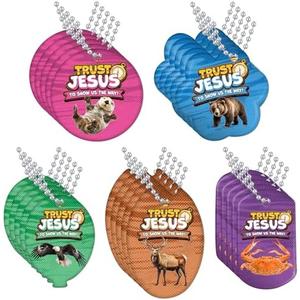 Eersida 100 Pcs 2025 VBS Faith Value Tag Pack with 25 Pcs 24'' Stainless Dog Tags Chain Necklaces True Trust North for Direction for Students Christian Summer Vacation Bible School Religious Supply