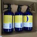 EO Liquid Hand Soap, 12 Ounce (Pack of 3), Lemon and Eucalyptus, Organic Plant-Based Gentle Cleanser with Pure Essential Oils